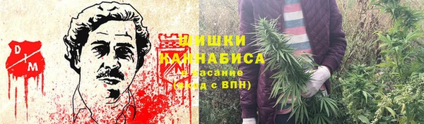 дмт Козельск