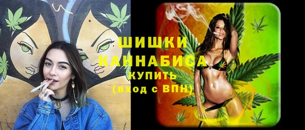 дурь Киреевск