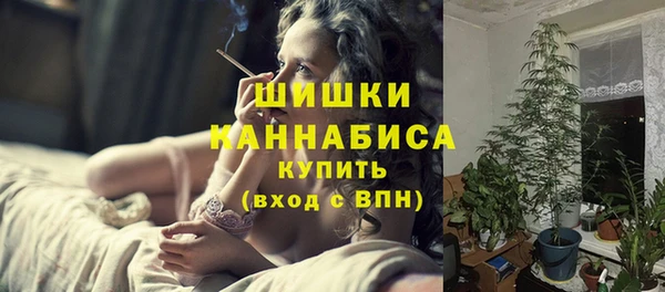 гашик Корсаков